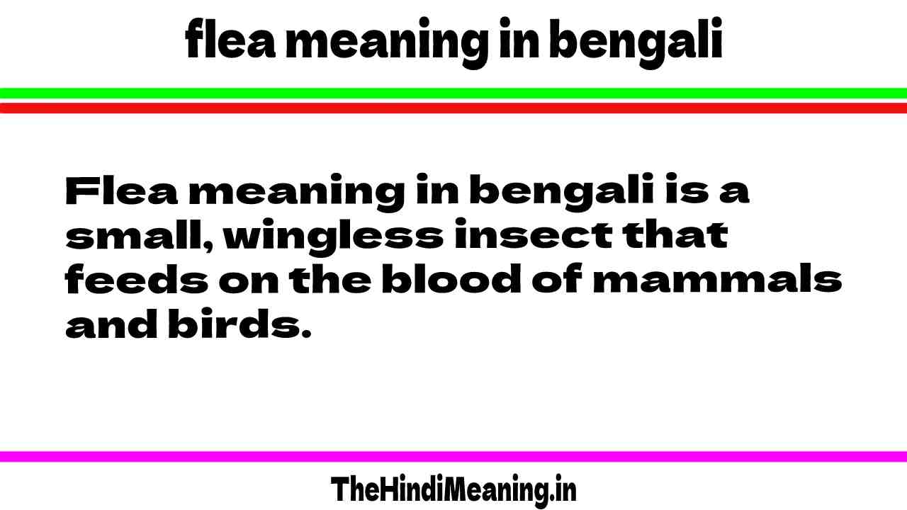 Flea meaning in Bengali