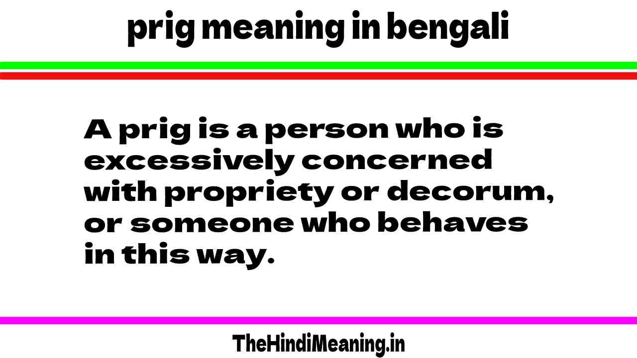 Prig meaning in Bengali
