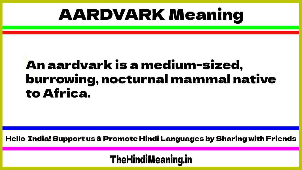 Aardvark meaning & pronunciation