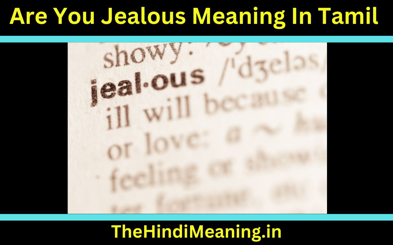 "Image featuring Tamil text: 'நீ அழுகின்றாயா?' meaning 'Are you jealous?'"